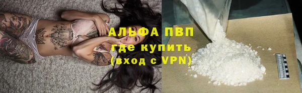 PSILOCYBIN Бронницы