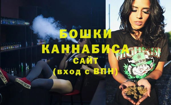 PSILOCYBIN Бронницы