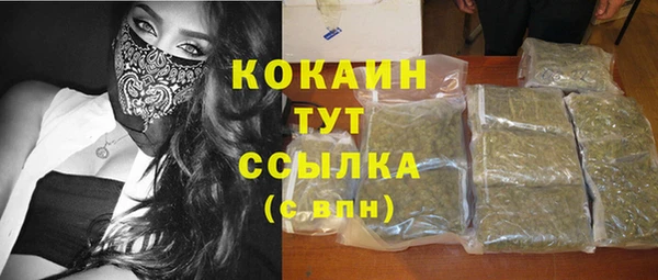 PSILOCYBIN Бронницы