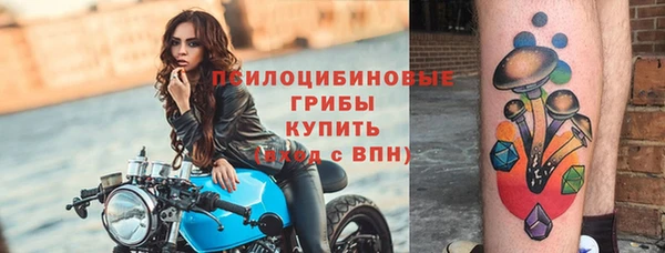 гидропоника Бородино