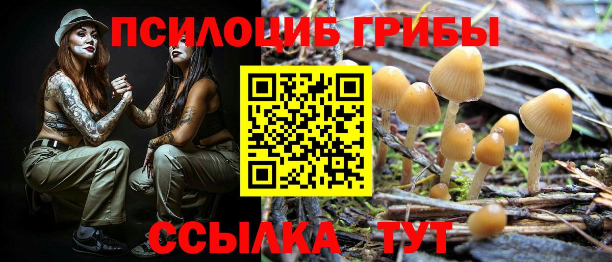 Псилоцибиновые грибы Cubensis  Вход с VPN  Выборг 